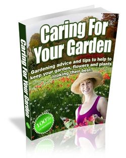 Caring For Your Garden Caring For Your Garden