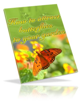 How to Attract Butterflies to Your Garden (PLR) How to Attract Butterflies to Your Garden (PLR)