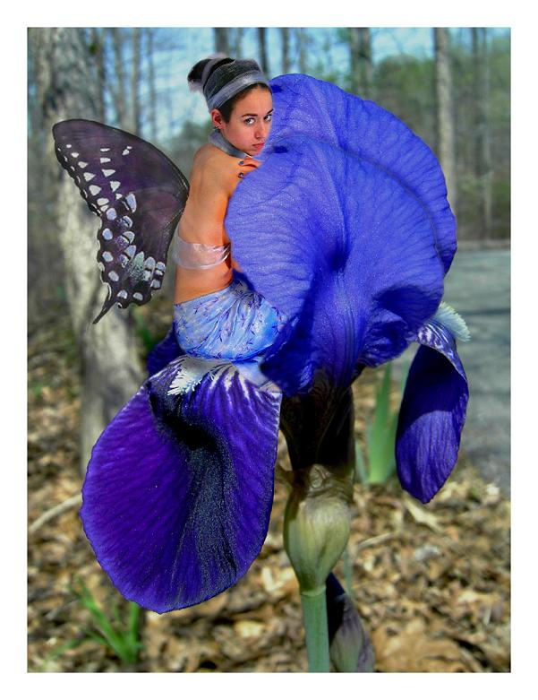 Custom Conjure WA Iris Fae Custom Conjure WA Iris Fae